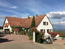 Holiday accommodation near Colmar in Alsace.