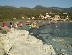 vacances en Haute Corse  Ogliastro n16201