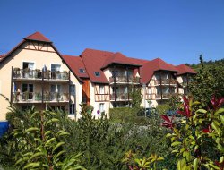 Bergheim Residence de vacances avec piscine chauffe en Alsace