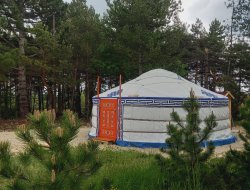 unusual stay in a yurt in Provence, France.