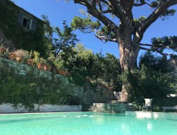 Hbergement de vacances en Corse - 8423